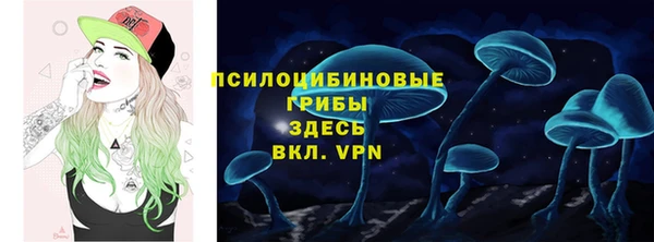 трава Бородино