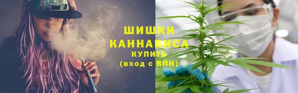 трава Бородино