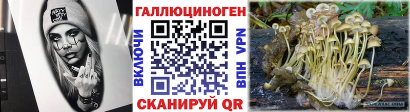 дарнет шоп  Горняк  Галлюциногенные грибы мицелий 